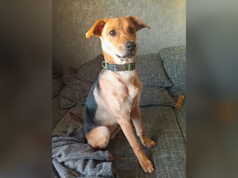 Lea -  Wenn Du mich holst, hab ich Dich lieb