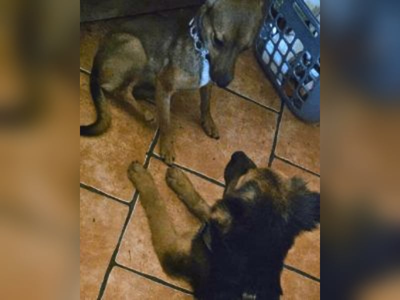 Leonilde -  Wenn Du mich holst, hab ich Dich lieb