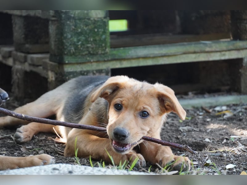 Leda -  Wenn Du mich holst, hab ich Dich lieb