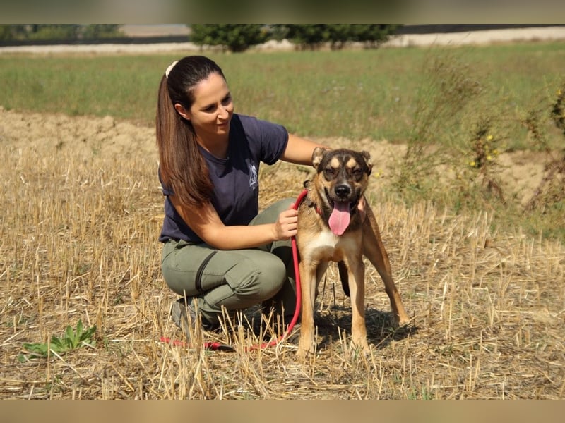 Aki - Verloren, gerettet, verlassen...