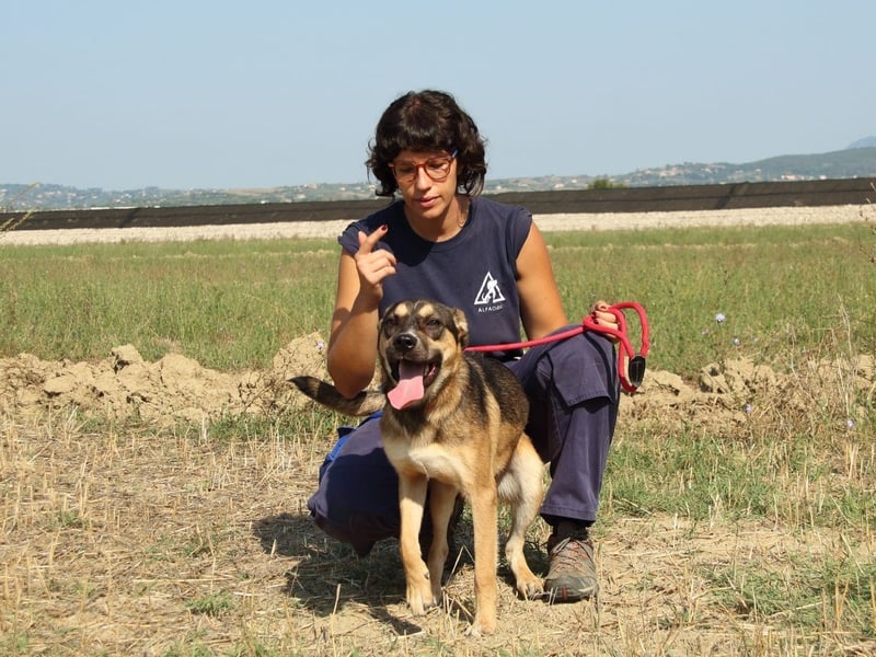 Aki - Verloren, gerettet, verlassen...