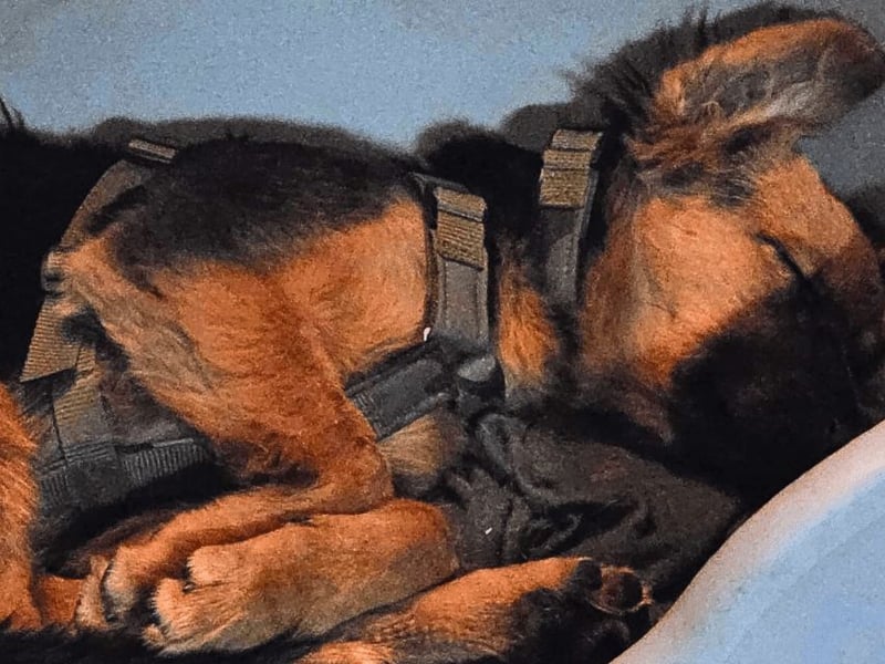 Leonilde -  Wenn Du mich holst, hab ich Dich lieb