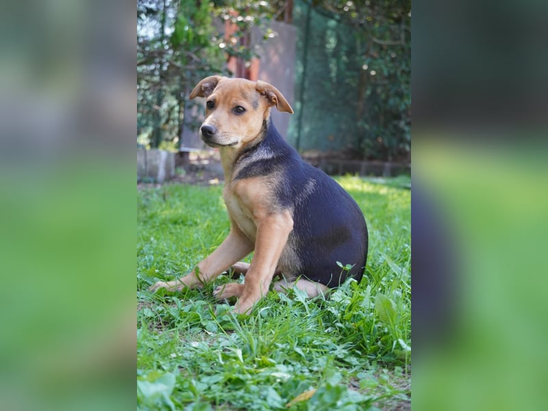 Lea -  Wenn Du mich holst, hab ich Dich lieb