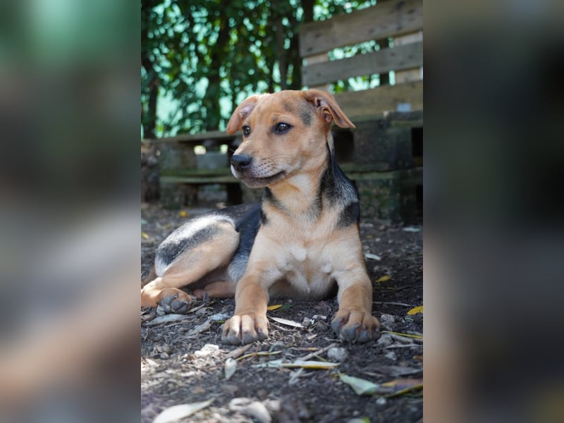 Lea -  Wenn Du mich holst, hab ich Dich lieb