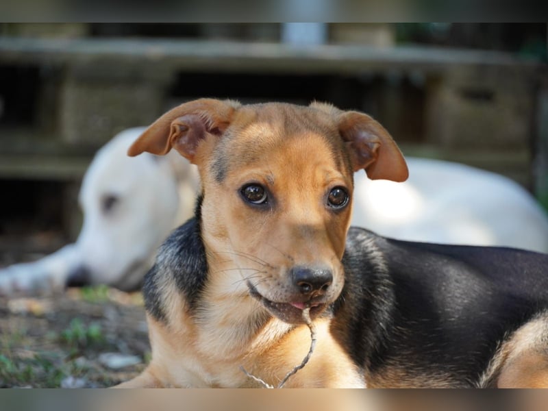 Lea -  Wenn Du mich holst, hab ich Dich lieb