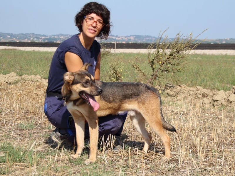 Aki - Verloren, gerettet, verlassen...