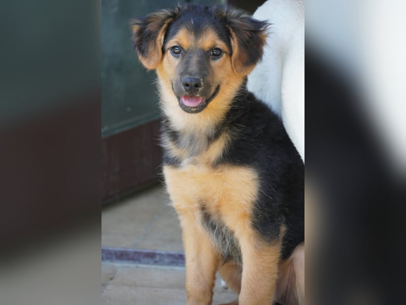 Leonilde -  Wenn Du mich holst, hab ich Dich lieb