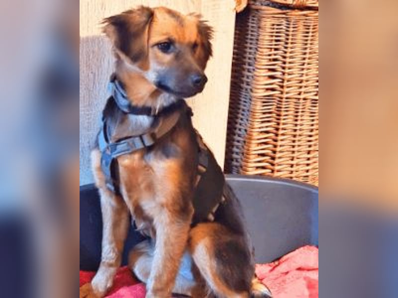 Leonilde -  Wenn Du mich holst, hab ich Dich lieb