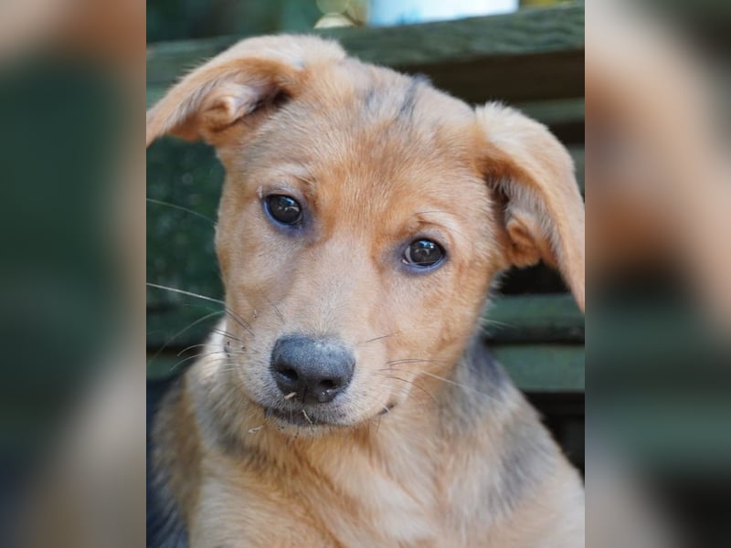 Leda -  Wenn Du mich holst, hab ich Dich lieb