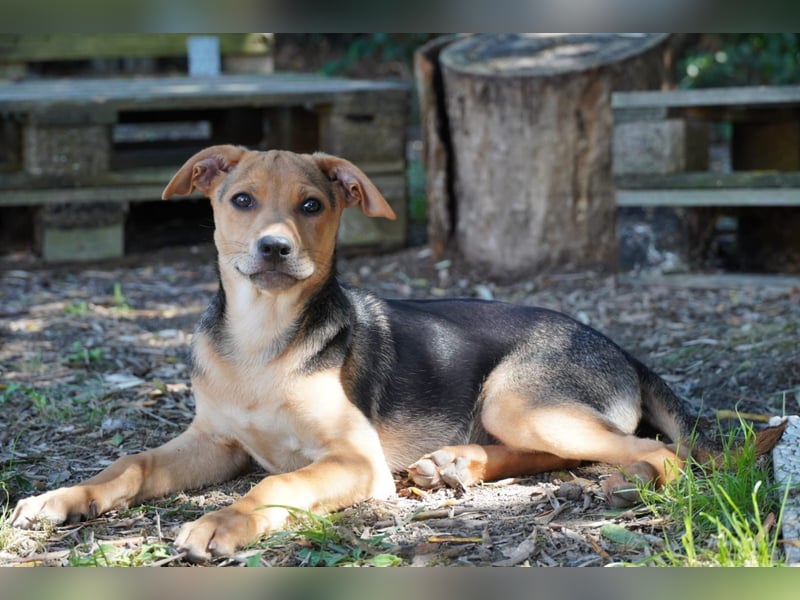 Lea -  Wenn Du mich holst, hab ich Dich lieb