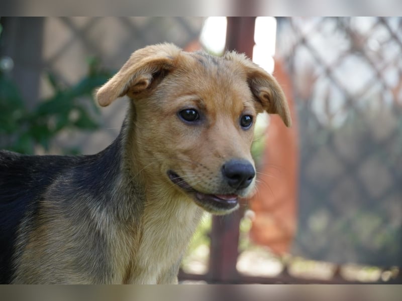 Leda -  Wenn Du mich holst, hab ich Dich lieb