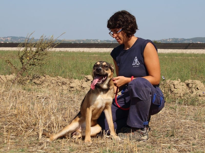 Aki - Verloren, gerettet, verlassen...