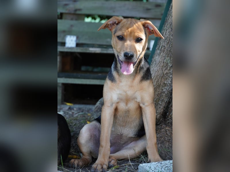 Lea -  Wenn Du mich holst, hab ich Dich lieb