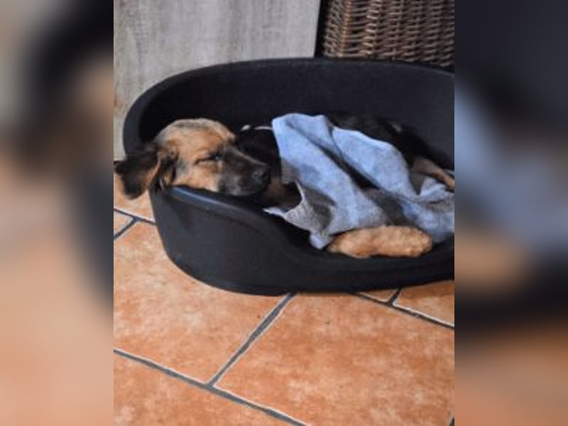 Leonilde -  Wenn Du mich holst, hab ich Dich lieb