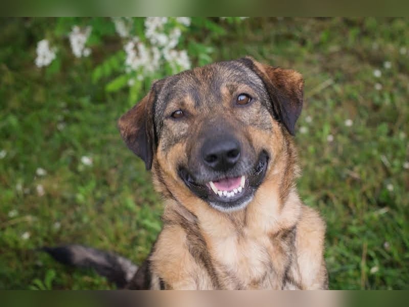 Smiley: Voller Liebe und Hoffnung