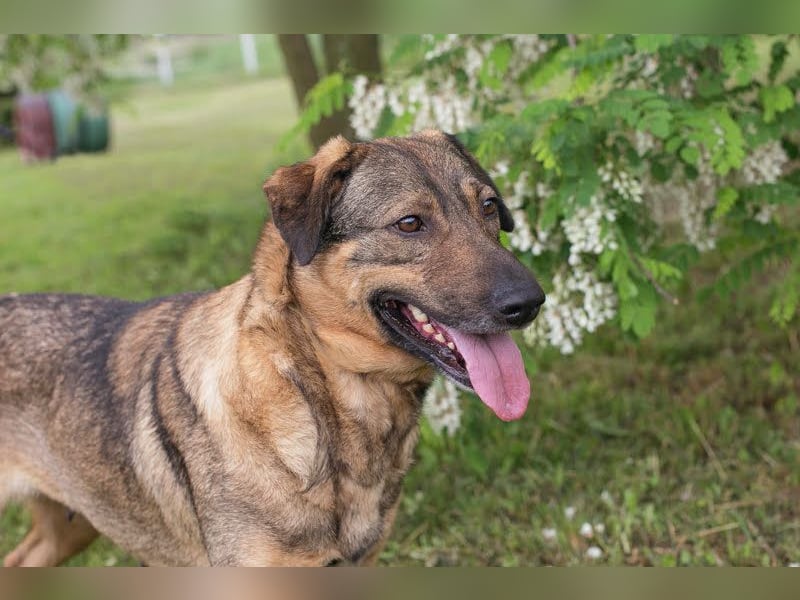 Smiley: Voller Liebe und Hoffnung