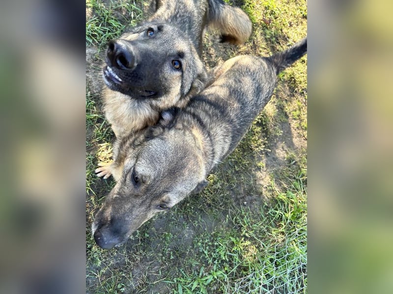 Smiley: Voller Liebe und Hoffnung