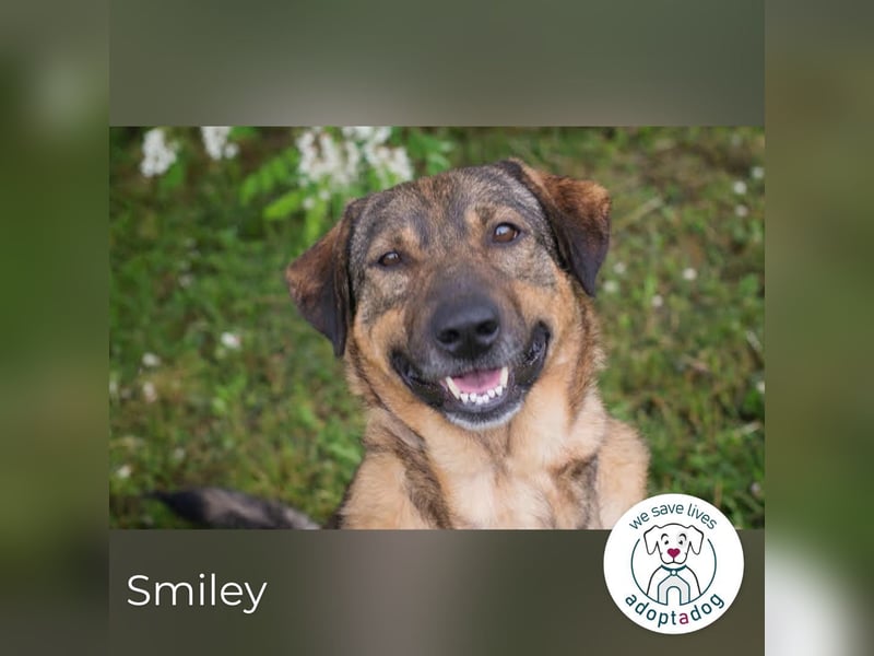 Smiley: Voller Liebe und Hoffnung