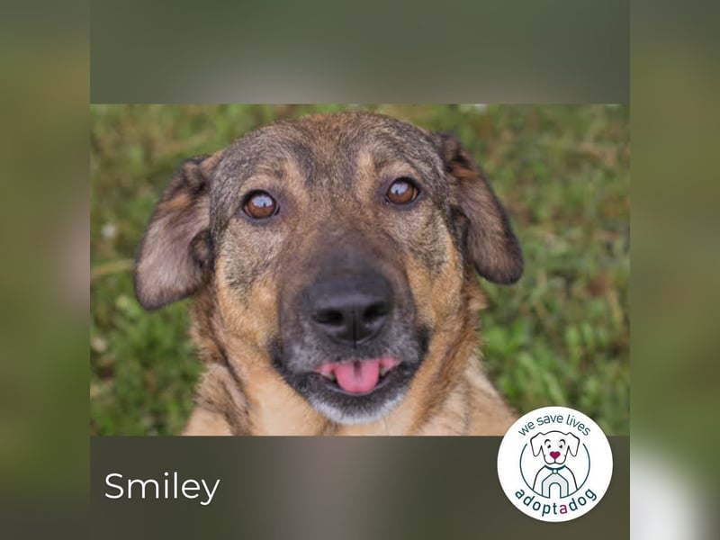 Smiley: Voller Liebe und Hoffnung