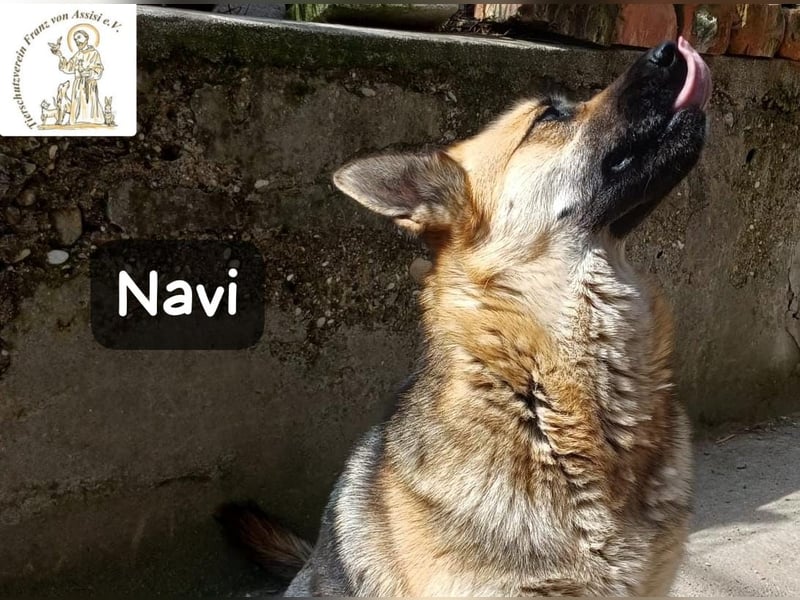 Navi – stark, sensibel, besonders – sucht ihr Gegenstück!