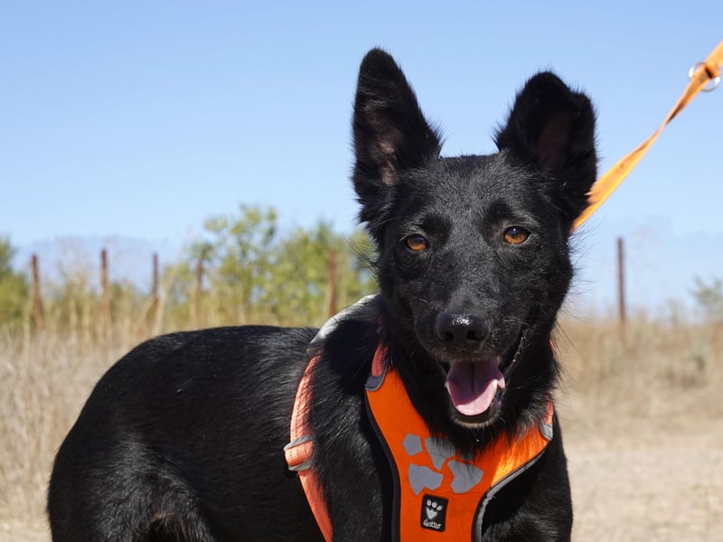 Yuna sucht ihre Familie