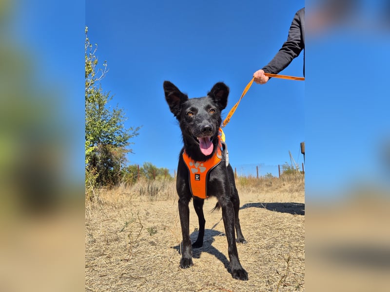 Yuna sucht ihre Familie