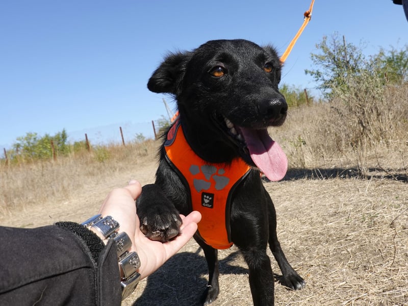 Yuna sucht ihre Familie