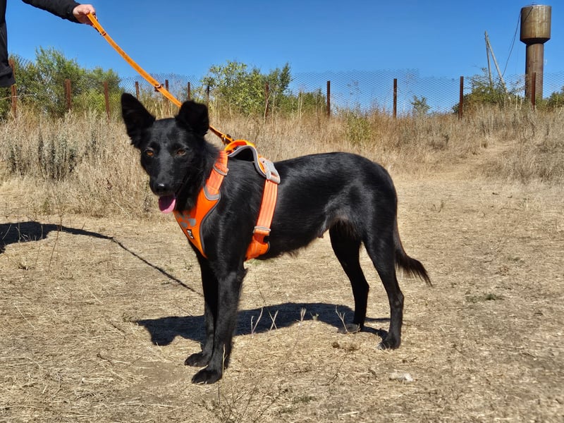 Yuna sucht ihre Familie