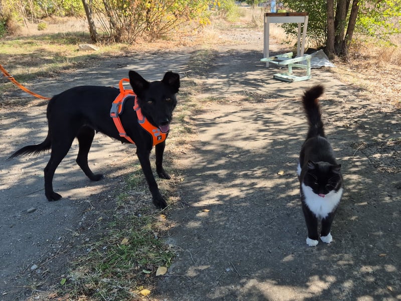 Yuna sucht ihre Familie