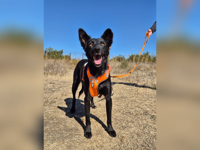 Yuna sucht ihre Familie