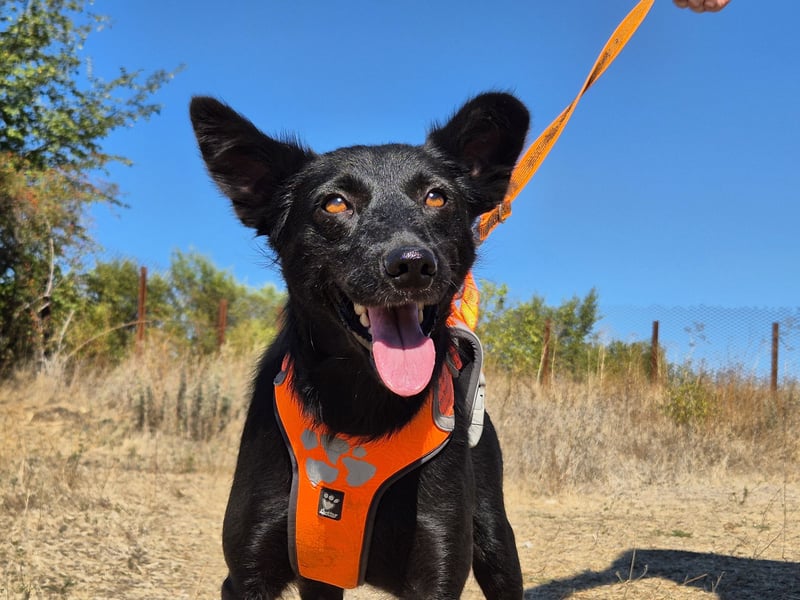 Yuna sucht ihre Familie