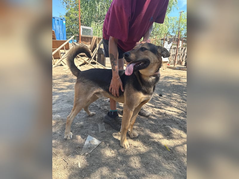 Jankó sucht das Abenteuer