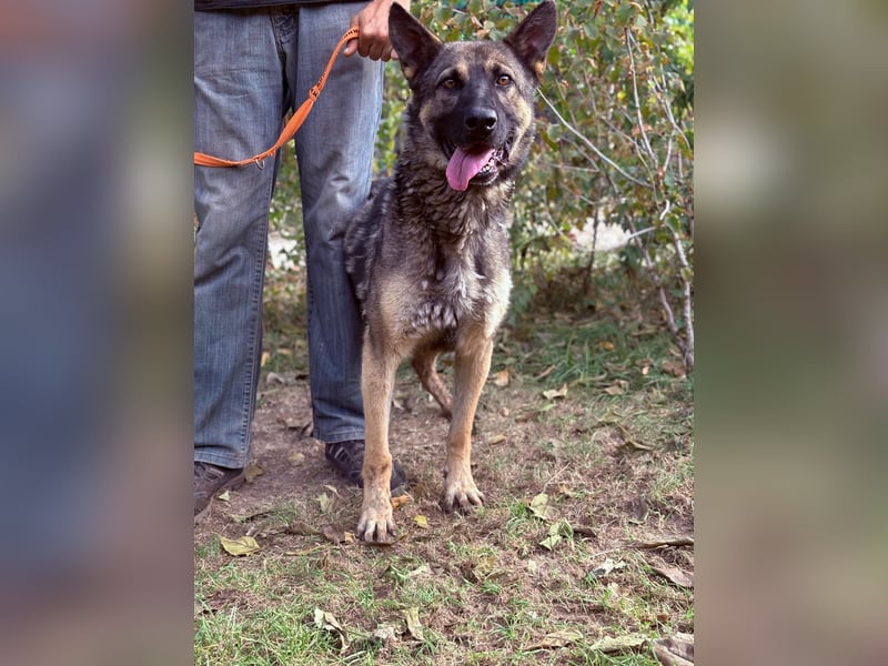 Mars - wer gibt ihm eine Chance?