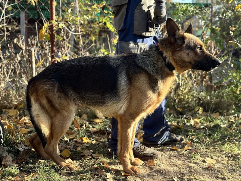 Vanilla - Muss sie diesen Winter wieder zittern?