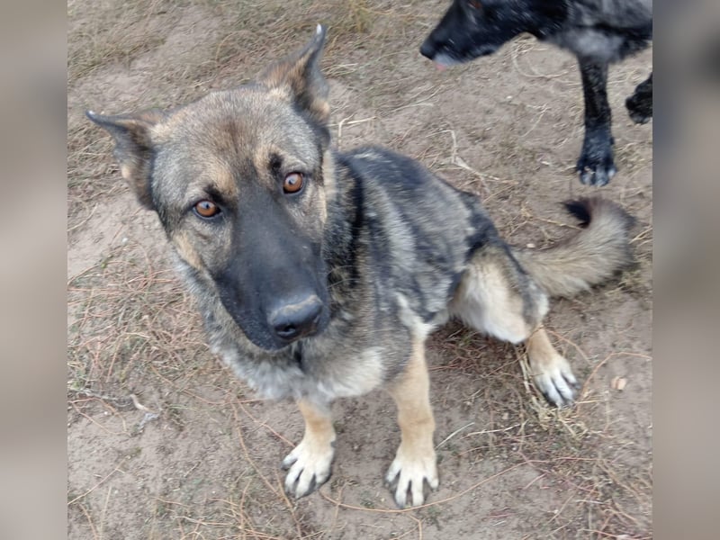 Mars - voller Freude ins neue Zuhause