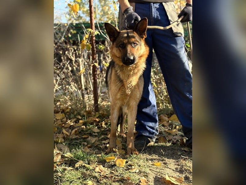 Vanilla - Muss sie diesen Winter wieder zittern?