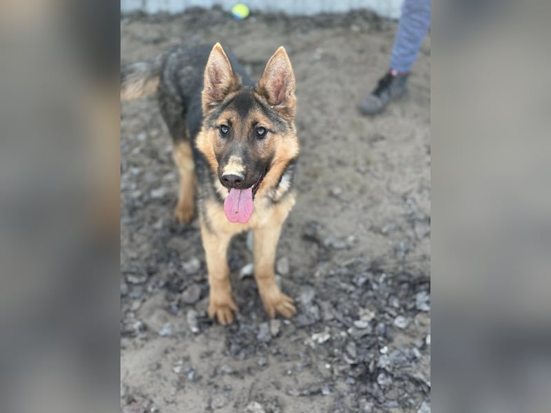 Blanka sucht ein Herz, das bleibt