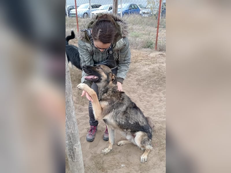 Mars - wer gibt ihm eine Chance?