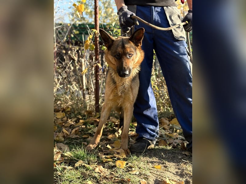 Vanilla - Muss sie diesen Winter wieder zittern?