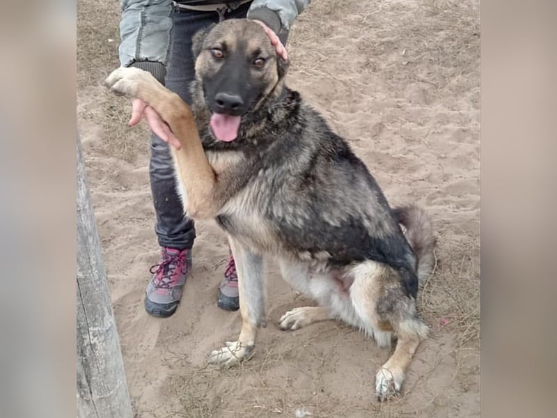 Mars - wer gibt ihm eine Chance?