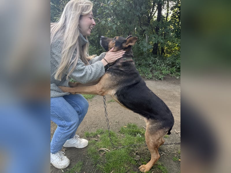 Rexi wartet auf ein Leben voller Liebe