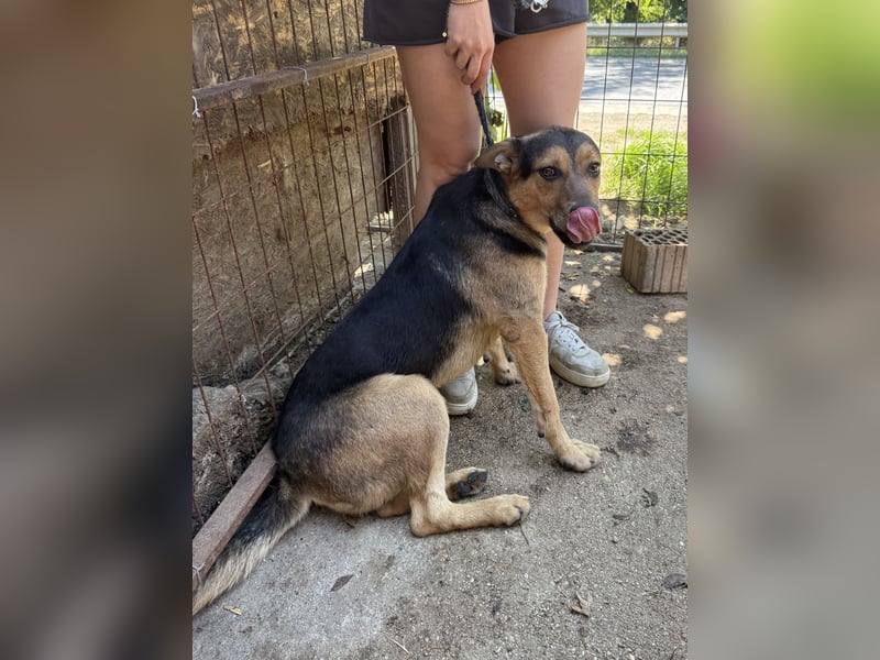 Jankó sucht das Abenteuer