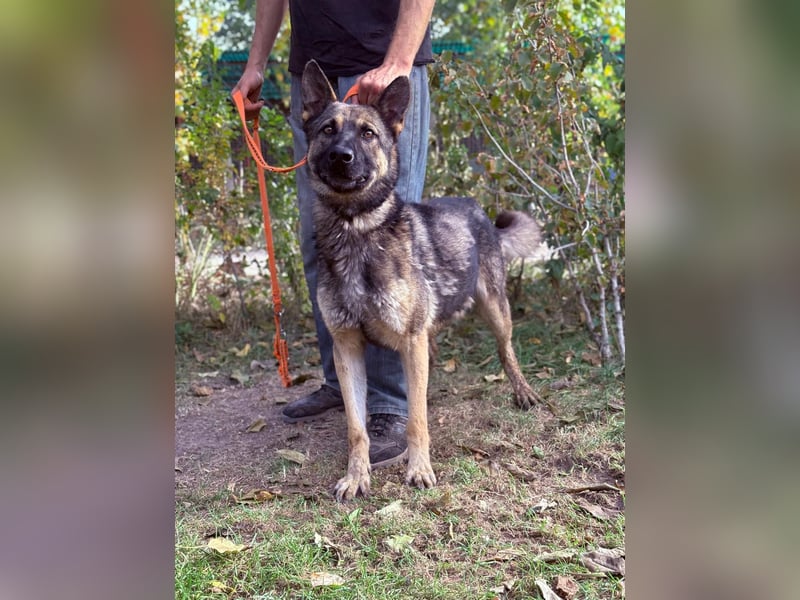 Mars - wer gibt ihm eine Chance?