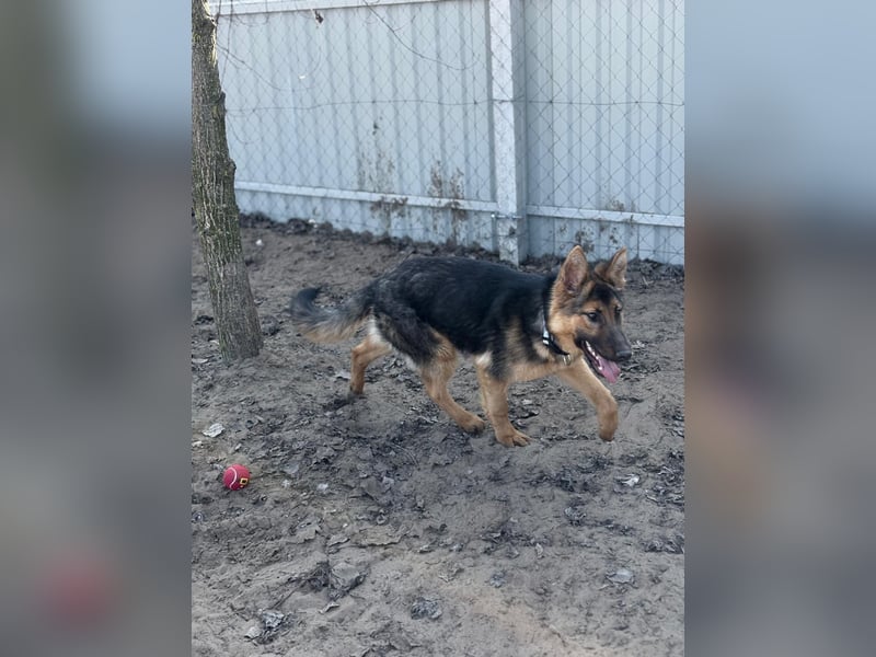 Blanka sucht ein Herz, das bleibt