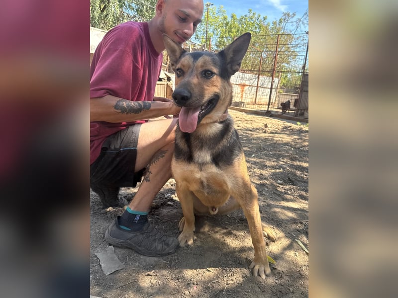 Jankó sucht das Abenteuer