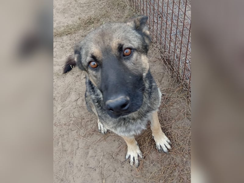 Mars - wer gibt ihm eine Chance?