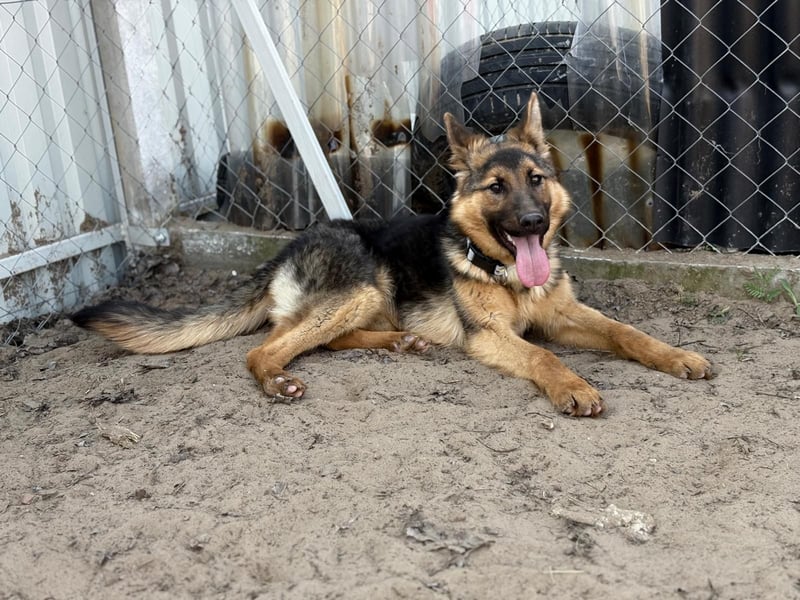 Blanka sucht ein Herz, das bleibt