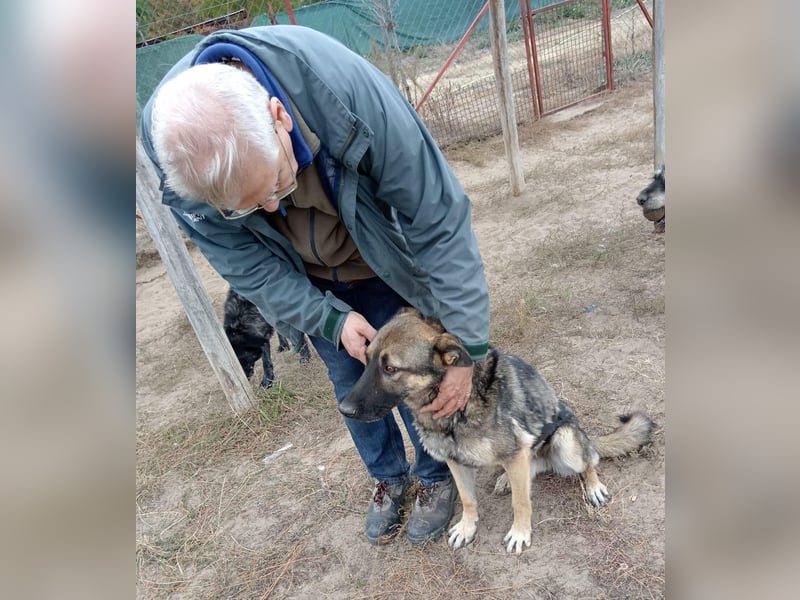 Mars - voller Freude ins neue Zuhause