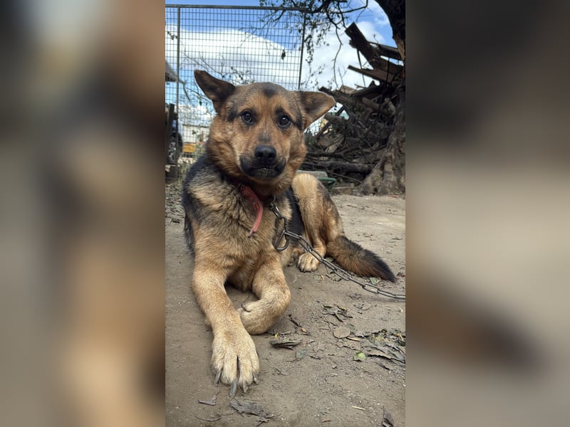 Berci sucht seine Menschen