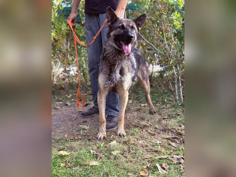 Mars - voller Freude ins neue Zuhause